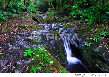 八丈島のポットホール 104757894