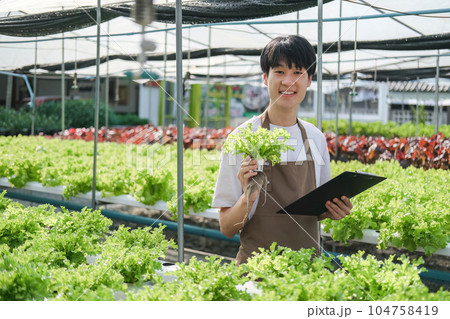 Farmer checking plant health in greenhouse system and harvesting. Farmer inspect farm products quality and fresh vegetables in greenhouse hydroponics farm with happy 104758419