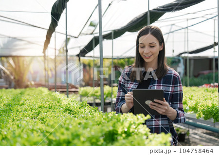 Greenhouse, agriculture and woman with vegetables growth checklist, agro business development and portrait. gardening and sustainability person with portfolio for inspection and smile Greenhouse, agriculture and woman with vegetables growth checklist, agro business development and portrait. gardening and sustainability person with portfolio for inspection and smile 104758464