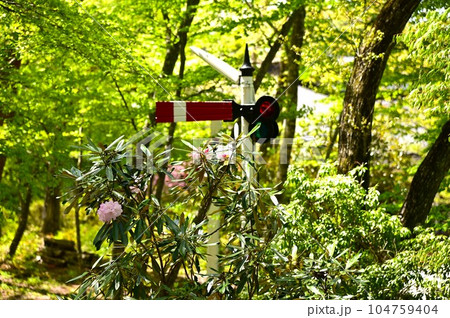 新緑に包まれた宮沢賢治記念館と周辺施設 104759404