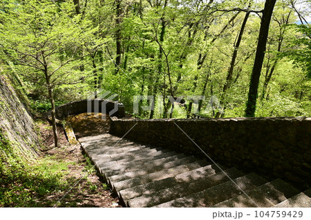 新緑に包まれた宮沢賢治記念館と周辺施設 104759429