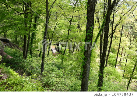 新緑に包まれた宮沢賢治記念館と周辺施設 104759437