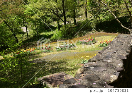 新緑に包まれた宮沢賢治記念館と周辺施設 104759831