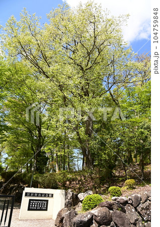 新緑に包まれた宮沢賢治記念館と周辺施設 新緑に包まれた宮沢賢治記念館と周辺施設 104759848