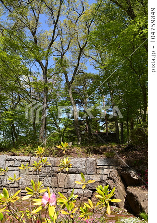 新緑に包まれた宮沢賢治記念館と周辺施設 新緑に包まれた宮沢賢治記念館と周辺施設 104759849