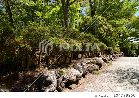 新緑に包まれた宮沢賢治記念館と周辺施設 104759850