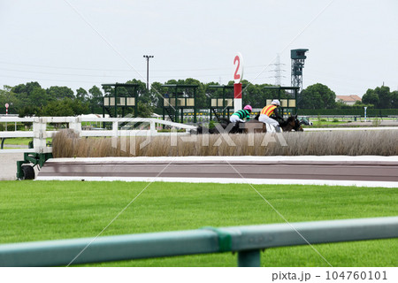 中京の障害を飛ぶ競走馬 中京の障害を飛ぶ競走馬 104760101