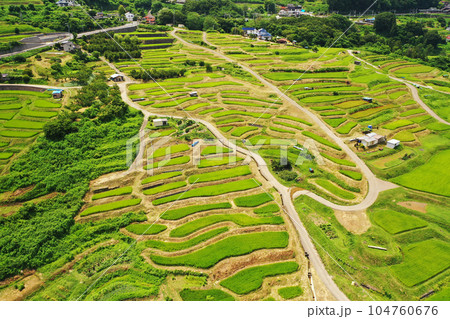 姨捨の棚田 104760676