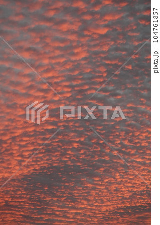 長野県埴科郡坂城町中之条の空に出現した神々しい夕焼け 長野県埴科郡坂城町中之条の空に出現した神々しい夕焼け 104761857
