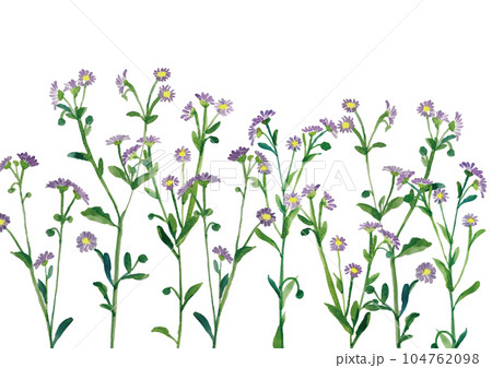 可愛い水彩画の花 104762098