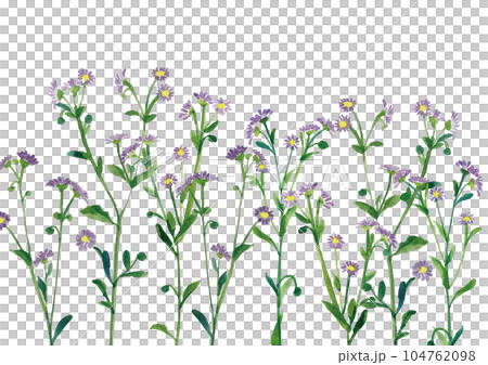 可愛い水彩画の花 104762098