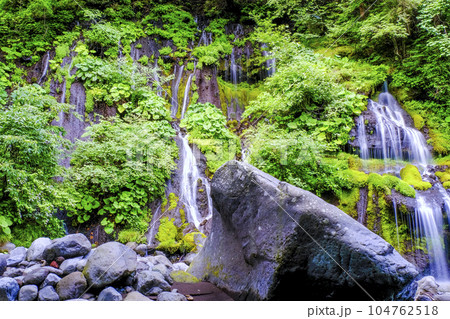 新緑の森と吐竜の滝 104762518