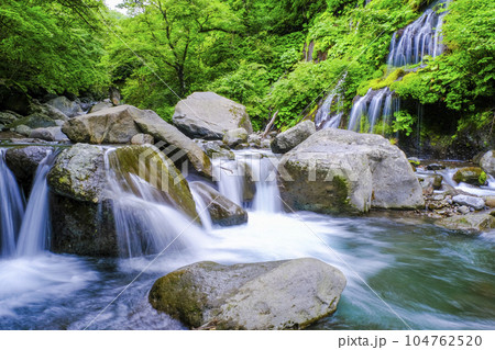新緑の川俣川渓谷1 104762520