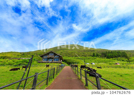 八丈富士とふれあい牧場の風景 八丈富士とふれあい牧場の風景 104762676
