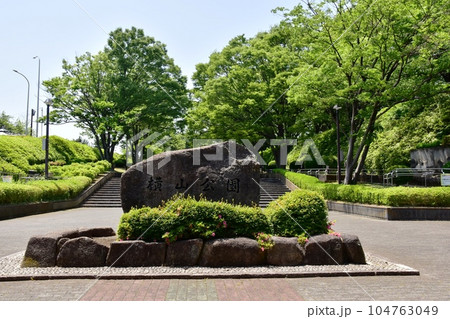 相模原市 横山公園入口の石碑と新緑に覆われたプロムナード 相模原市 横山公園入口の石碑と新緑に覆われたプロムナード 104763049