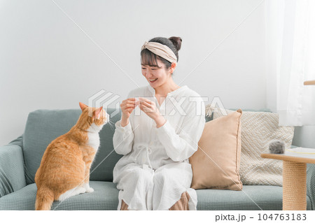 家・猫カフェで猫におやつをあげる日本人女性(餌) 家・猫カフェで猫におやつをあげる日本人女性(餌) 104763183