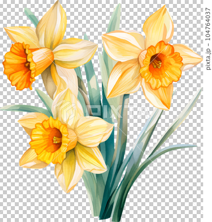 watercolor, illustration, flower, spring, summer, floral, blossom, garden, plant, background, botanical, nature, isolated, design, white, green, decoration, vintage, art, bouquet, flora, leaf, bloom, 104764037