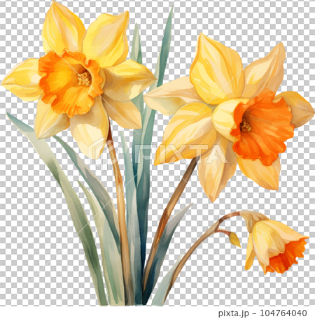 watercolor, illustration, flower, spring, summer, floral, blossom, garden, plant, background, botanical, nature, isolated, design, white, green, decoration, vintage, art, bouquet, flora, leaf, bloom, 104764040