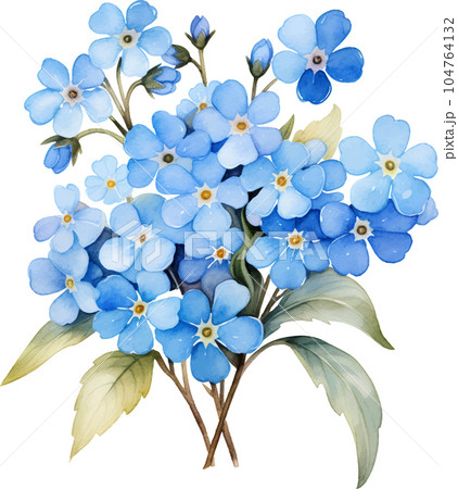 floral, forgetmenot, illustration, watercolor, plant, flower, blossom, spring, flora, isolated, summer, botanical, forget-me-not, blue, wildflower, garden, decoration, background, myosotis, drawing, floral, forgetmenot, illustration, watercolor, plant, flower, blossom, spring, flora, isolated, summer, botanical, forget-me-not, blue, wildflower, garden, decoration, background, myosotis, drawing, 104764132
