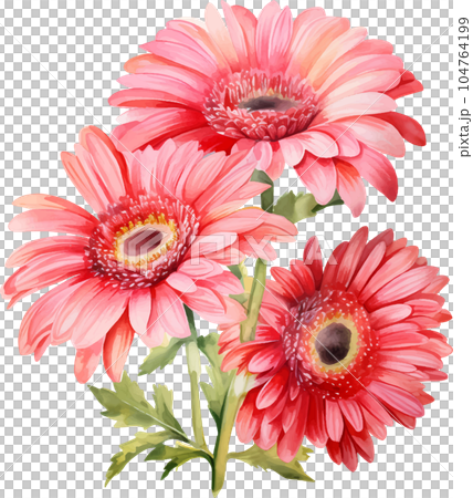 watercolor, daisy, gerbera, flower, illustration, floral, nature, isolated, white, summer, background, botanical, plant, drawing, blossom, garden, bouquet, flora, art, beautiful, green, spring, bloom, watercolor, daisy, gerbera, flower, illustration, floral, nature, isolated, white, summer, background, botanical, plant, drawing, blossom, garden, bouquet, flora, art, beautiful, green, spring, bloom, 104764199