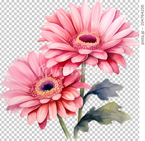 watercolor, daisy, gerbera, flower, illustration, floral, nature, isolated, white, summer, background, botanical, plant, drawing, blossom, garden, bouquet, flora, art, beautiful, green, spring, bloom, watercolor, daisy, gerbera, flower, illustration, floral, nature, isolated, white, summer, background, botanical, plant, drawing, blossom, garden, bouquet, flora, art, beautiful, green, spring, bloom, 104764200