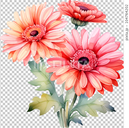 watercolor, daisy, gerbera, flower, illustration, floral, nature, isolated, white, summer, background, botanical, plant, drawing, blossom, garden, bouquet, flora, art, beautiful, green, spring, bloom, watercolor, daisy, gerbera, flower, illustration, floral, nature, isolated, white, summer, background, botanical, plant, drawing, blossom, garden, bouquet, flora, art, beautiful, green, spring, bloom, 104764202