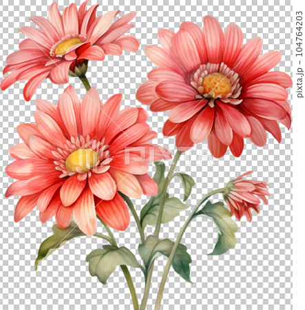 watercolor, daisy, gerbera, flower, illustration, floral, nature, isolated, white, summer, background, botanical, plant, drawing, blossom, garden, bouquet, flora, art, beautiful, green, spring, bloom, watercolor, daisy, gerbera, flower, illustration, floral, nature, isolated, white, summer, background, botanical, plant, drawing, blossom, garden, bouquet, flora, art, beautiful, green, spring, bloom, 104764203