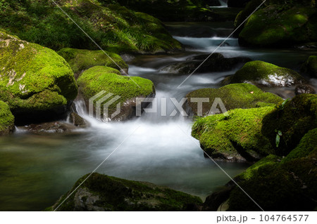 苔生した岩の間を流れる河内渓谷の清流 苔生した岩の間を流れる河内渓谷の清流 104764577