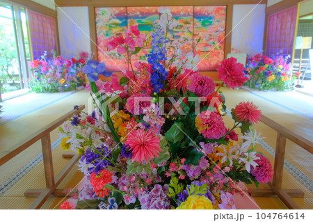 気分が高揚する写真 104764614