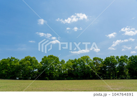 芝生と樹林と初夏の空のコピースペース 104764891