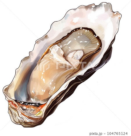 Oyster 104765124
