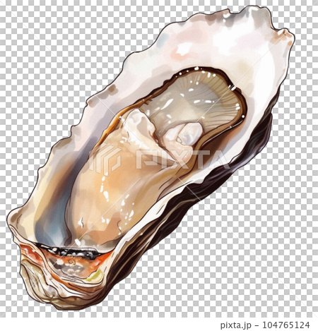 Oyster 104765124