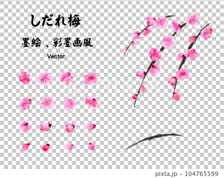 垂梅水墨畫矢量插圖集 104765599
