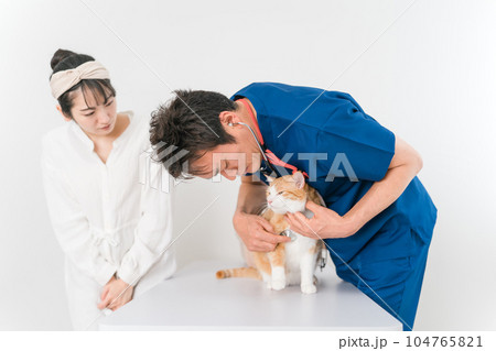 動物病院で獣医師に診察を受ける猫と飼い主のアジア人女性（ペット・聴診器） 104765821