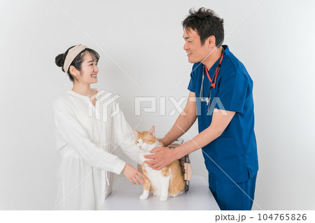 動物病院で獣医師に診察を受ける猫と飼い主のアジア人女性(ペット・相談・診察・診療) 動物病院で獣医師に診察を受ける猫と飼い主のアジア人女性(ペット・相談・診察・診療) 104765826