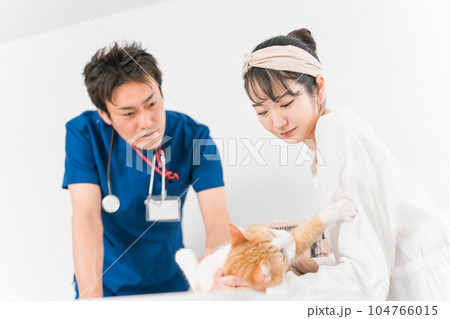 動物病院で獣医師に診察を受ける猫と飼い主のアジア人女性（ペット） 104766015