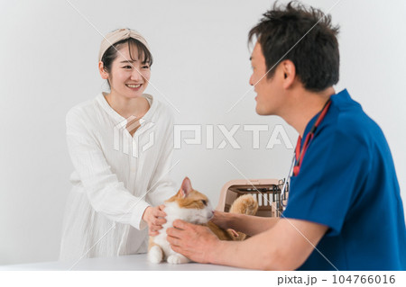 動物病院で獣医師に診察を受ける猫と飼い主のアジア人女性（ペット） 104766016