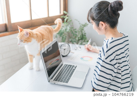 家で猫・ペットと一緒に仕事する女性(在宅勤務・テレワーク・リモートワーク・ネコハラ) 家で猫・ペットと一緒に仕事する女性(在宅勤務・テレワーク・リモートワーク・ネコハラ) 104766219