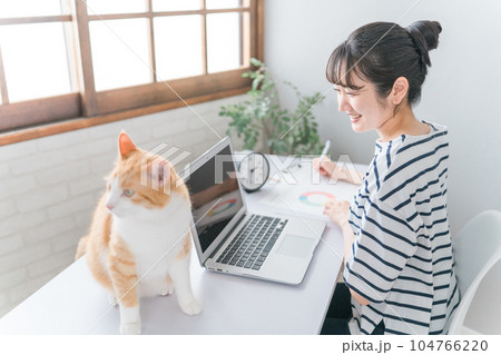 家で猫・ペットと一緒に仕事する女性(在宅勤務・テレワーク・リモートワーク・ネコハラ) 家で猫・ペットと一緒に仕事する女性(在宅勤務・テレワーク・リモートワーク・ネコハラ) 104766220