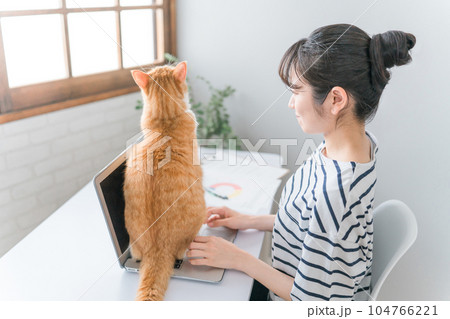 在宅勤務の仕事の邪魔をする猫とテレワークする女性(ネコハラ) 在宅勤務の仕事の邪魔をする猫とテレワークする女性(ネコハラ) 104766221