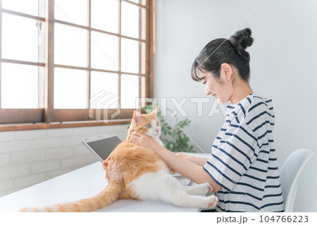 在宅勤務の仕事の邪魔をする猫とテレワークする女性(ネコハラ) 在宅勤務の仕事の邪魔をする猫とテレワークする女性(ネコハラ) 104766223