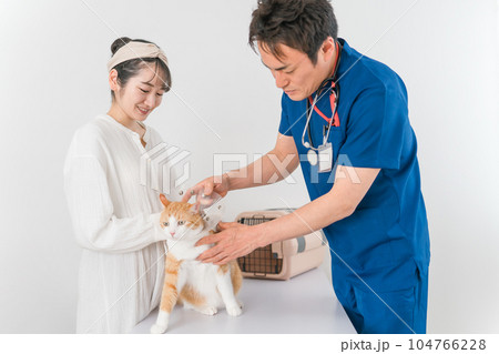 動物病院で獣医師に診察を受ける猫と飼い主のアジア人女性（ペット・エリザベスカラー） 104766228
