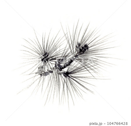 大王松の水墨画 墨絵 大王松の水墨画 墨絵 104766428