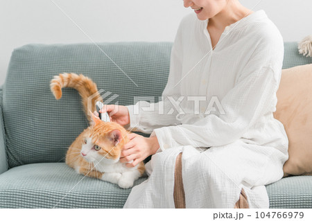 換毛期に家のベッドで猫のブラッシング・毛玉取りをする飼い主の女性 104766979