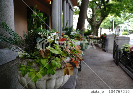 横浜の洋館　山手234番館　 104767316