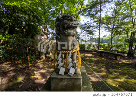 Komainu, or lion-dog, with shimenawa rope and shide, Kanazawa, Japan. 104767671