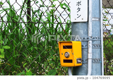 電柱に設置された、歩行者用の押しボタン 電柱に設置された、歩行者用の押しボタン 104769095