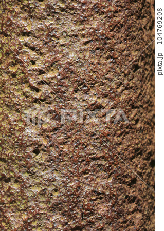 鉄錆のテクスチュア 鉄錆のテクスチュア 104769208