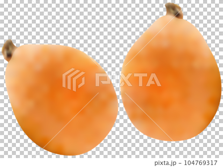 枇杷籽 兩顆 104769317