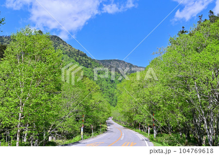 群馬県　片品村　菅沼付近の初夏　新緑の山並み　国道120号線 104769618